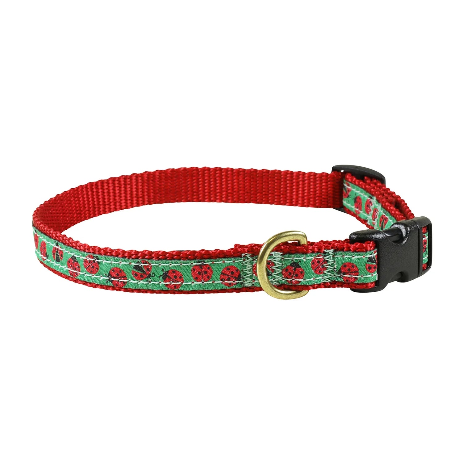 Dog Collars