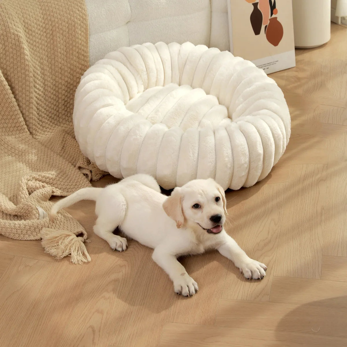 Round Pet Bed for Large Dog,  Winter Warm Cat Sofa Bed Washable Large Dog Bed All Seasons Available